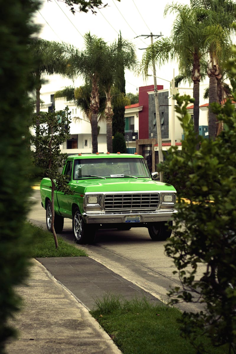 Vintage green pickup truck parked on a leafy suburban street with palm trees.